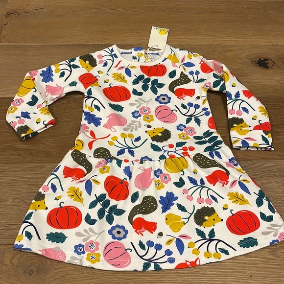 Mini Boden Other - Baby Boden Forest Friends Sweatshirt Dress 12-18 Months NWT
